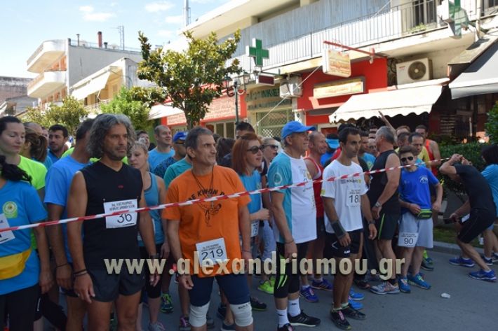 alexandriamou_1_alexandrinos_dromos079